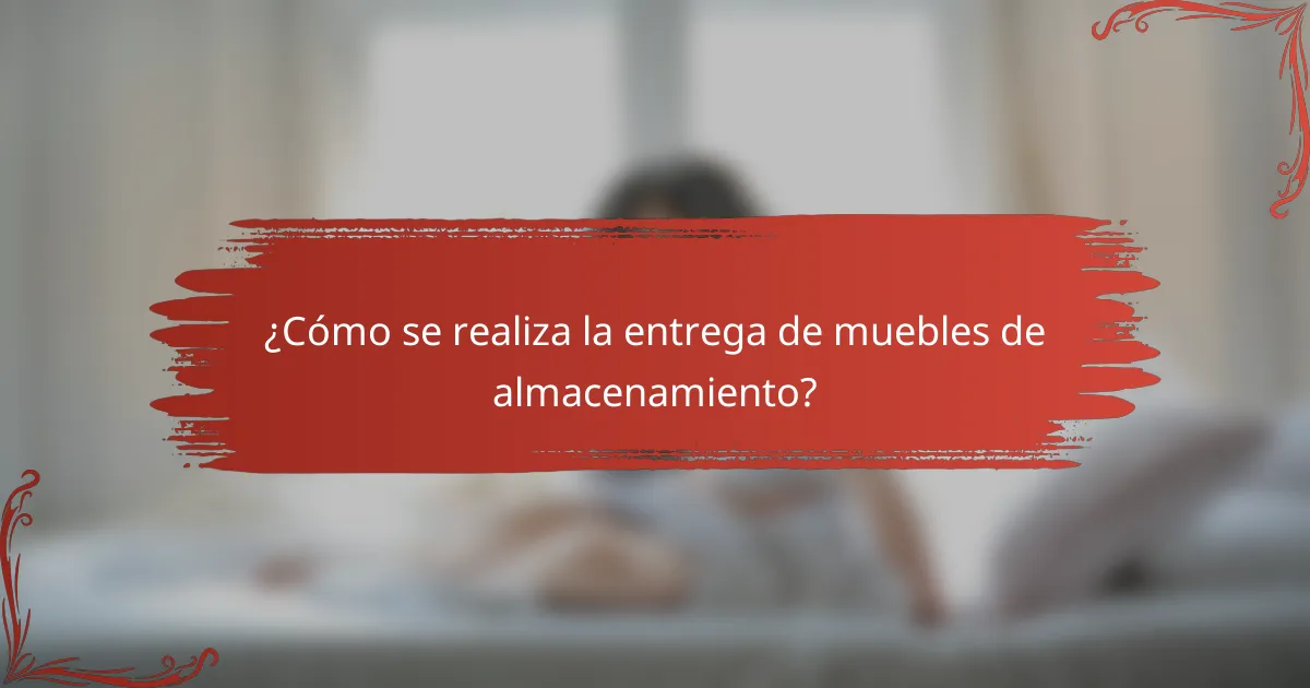 ¿Cómo se realiza la entrega de muebles de almacenamiento?